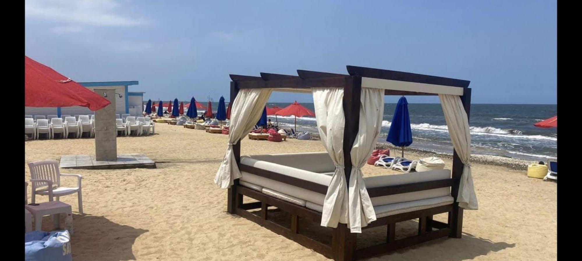 Colony Beach Club 101 뉴스머나비치 외부 사진